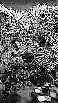 Skamielina