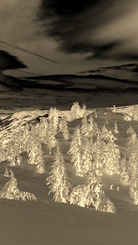 Sepia + Negatyw