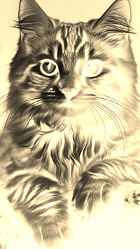 Sepia + Negatyw