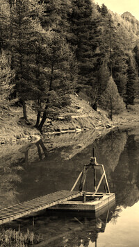 Szary + Sepia