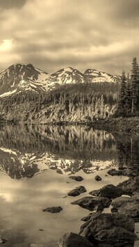 Sepia