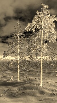 Sepia + Negatyw