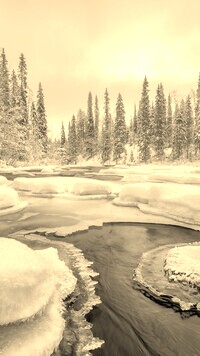 Sepia
