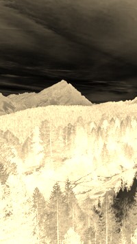 Sepia + Negatyw