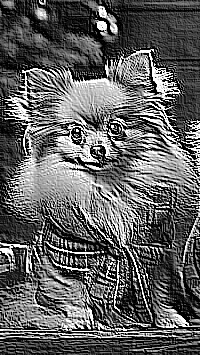 Skamielina
