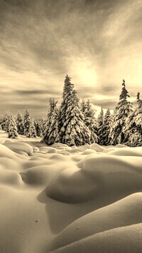 Szary + Sepia