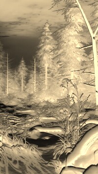 Sepia + Negatyw