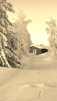 Sepia