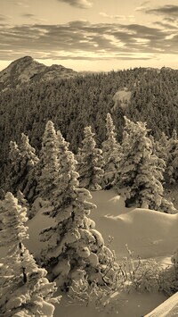 Sepia