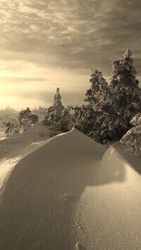 Sepia