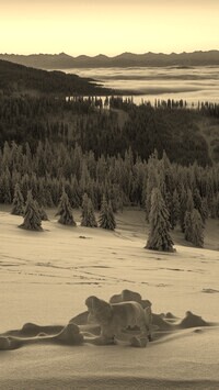 Sepia