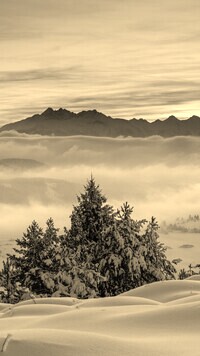 Sepia
