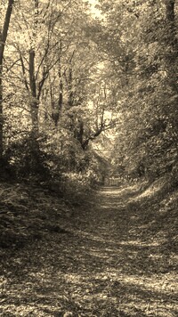 Szary + Sepia