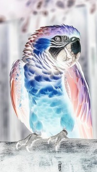 Negatyw