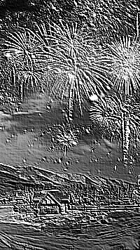 Skamielina