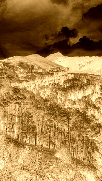 Sepia + Negatyw