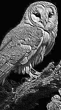 Skamielina