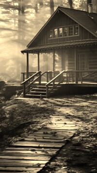 Szary + Sepia