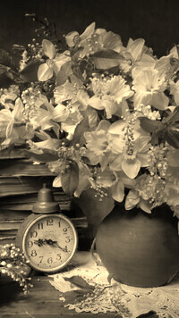 Szary + Sepia