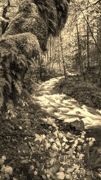 Szary + Sepia