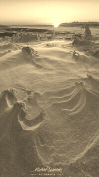 Szary + Sepia