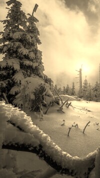 Sepia