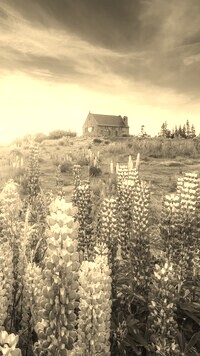 Sepia
