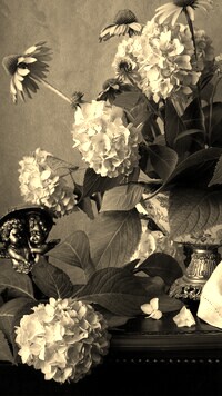 Szary + Sepia