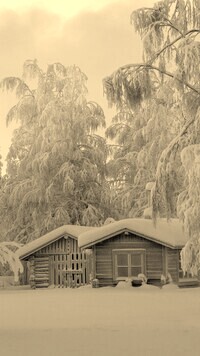 Szary + Sepia