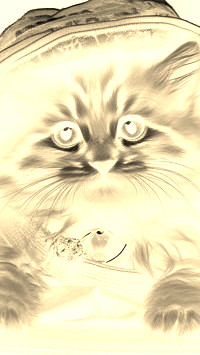 Sepia + Negatyw