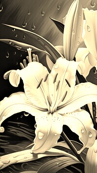 Szary + Sepia