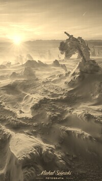 Szary + Sepia