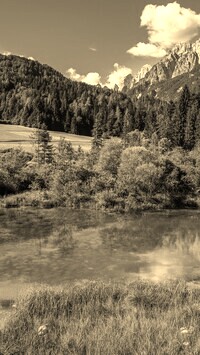 Sepia