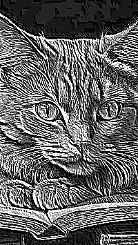 Skamielina