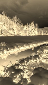 Sepia + Negatyw