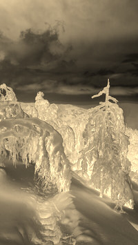 Sepia + Negatyw