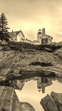 Szary + Sepia
