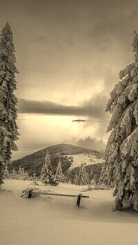 Szary + Sepia