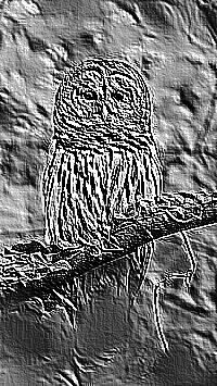 Skamielina