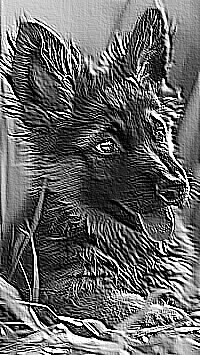 Skamielina