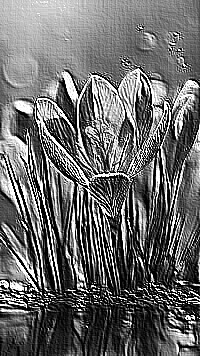 Skamielina