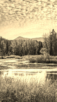 Szary + Sepia
