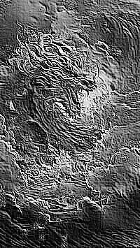 Skamielina