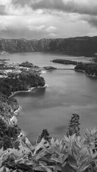 Szary