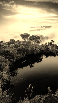 Sepia