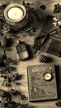 Szary + Sepia