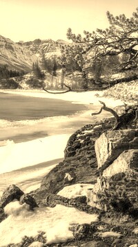 Szary + Sepia