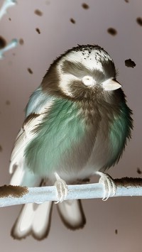 Negatyw