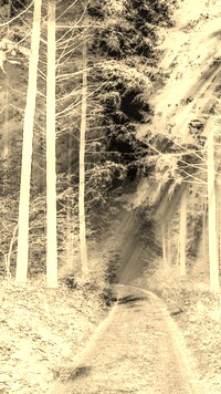 Sepia + Negatyw