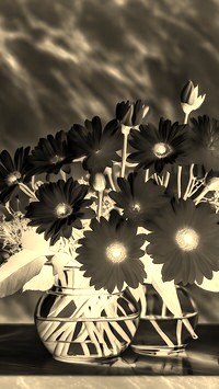 Sepia + Negatyw